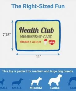Frisco Gym Membership Card Flat Plush Squeaky Dog Toy -Dog Cat Corner 288909 PT1. SY630 V1640722985