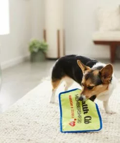 Frisco Gym Membership Card Flat Plush Squeaky Dog Toy -Dog Cat Corner 288909 PT3. SY630 V1638288963