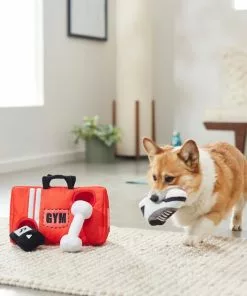 Frisco Gym Bag Hide & Seek Puzzle Plush Squeaky Dog Toy -Dog Cat Corner 288913 PT3. SY630 V1638289728