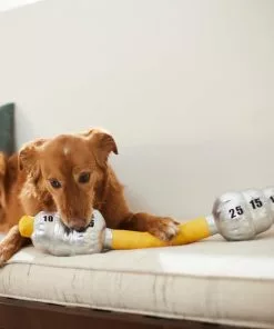 Frisco Weight Bar Wagazoo Plush Squeaky Dog Toy 7 Frisco Weight Bar Wagazoo Plush Squeaky Dog Toy -Dog Cat Corner 288917 PT3. SY630 V1638292413