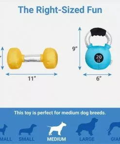 Frisco Dumbell & Kettleball Plush Squeaky Dog Toy, 2 count -Dog Cat Corner 288919 PT1. SY630 V1640722523