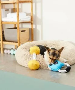 Frisco Dumbell & Kettleball Plush Squeaky Dog Toy, 2 count -Dog Cat Corner 288919 PT3. SY630 V1638288628