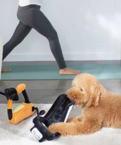 Frisco Treadmill & Bike Plush Squeaky Dog Toy, 2 count -Dog Cat Corner 288921 PT3. SY630 V1638290517