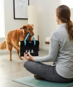 Frisco Yoga Mat Plush Squeaky Dog Toy -Dog Cat Corner 288923 PT3. SY630 V1638290551