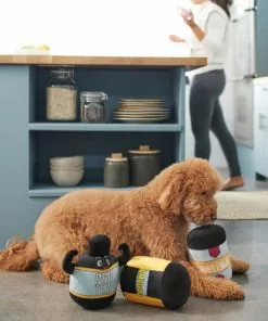 Frisco Protein Powder Plush Squeaky Dog Toy, 3 count -Dog Cat Corner 288925 PT3. SY630 V1638289658