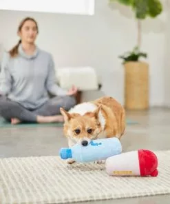 Frisco Protein & Water Bottle Cruncher Dog Toy, 2 count -Dog Cat Corner 288927 PT3. SY630 V1638291847