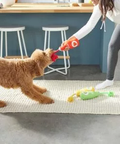 Frisco Juice Cleanse Plush Squeaky Dog Toy, 3 count 7 Frisco Juice Cleanse Plush Squeaky Dog Toy, 3 count -Dog Cat Corner 288929 PT3. SY630 V1638289348