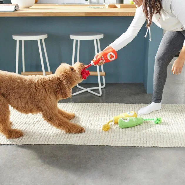 Frisco Juice Cleanse Plush Squeaky Dog Toy, 3 count 5 Frisco Juice Cleanse Plush Squeaky Dog Toy, 3 count - Image 3