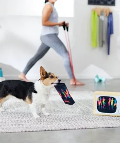 Frisco TV & VHS Tape Plush Squeaky Dog Toy, 2 count -Dog Cat Corner 288935 PT3. SY630 V1638291435