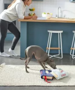 Frisco Cookbooks Plush Squeaky Dog Toy, 2 count -Dog Cat Corner 288937 PT3. SY630 V1638287852