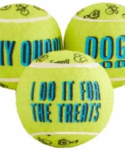 Frisco Motivational Tennis Balls Plush Squeaky Dog Toy, 3 count