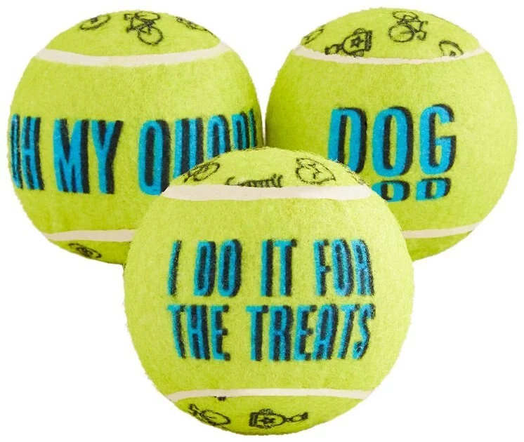 Frisco Motivational Tennis Balls Plush Squeaky Dog Toy, 3 count 3 Frisco Motivational Tennis Balls Plush Squeaky Dog Toy, 3 count