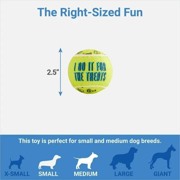 Frisco Motivational Tennis Balls Plush Squeaky Dog Toy, 3 count 4 Frisco Motivational Tennis Balls Plush Squeaky Dog Toy, 3 count - Image 2