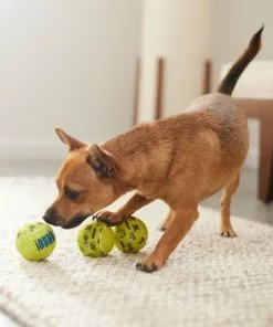 Frisco Motivational Tennis Balls Plush Squeaky Dog Toy, 3 count 7 Frisco Motivational Tennis Balls Plush Squeaky Dog Toy, 3 count -Dog Cat Corner 288943 PT3. SY630 V1638288373