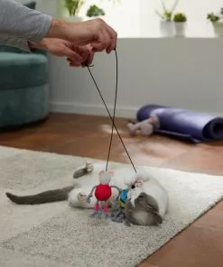 Frisco Gym Bouncy Mice Plush Cat Toy with Catnip, 2 count -Dog Cat Corner 288949 PT3. SY630 V1638289802