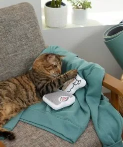 Frisco Scale & Message Bubble Plush Cat Toy with Catnip, 2 count -Dog Cat Corner 288959 PT3. SY630 V1638288401