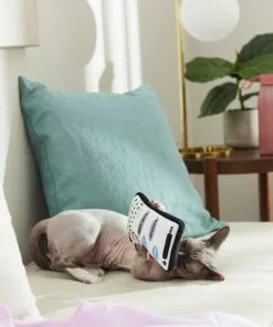 Frisco Cell Phone Plush Cat Toy with Catnip -Dog Cat Corner 288961 PT3. SY630 V1638290119