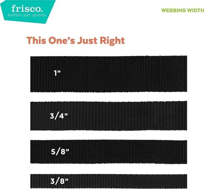 Frisco Glitter Dog Collar with Removeable Glitter Bow 7 Frisco Glitter Dog Collar with Removeable Glitter Bow - Image 5