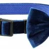 Frisco Velvet Dog Collar With Removeable Velvet Bow -Dog Cat Corner 289734 MAIN. SY630 V1632185202