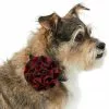 Frisco Removeable Collar Flower, Buffalo Check 2 Frisco Removeable Collar Flower, Buffalo Check -Dog Cat Corner 289802 MAIN. SY630 V1632186286