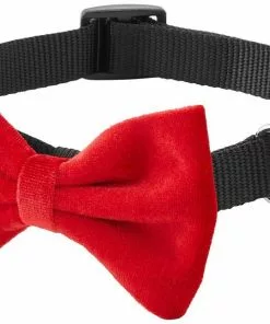 Frisco Removeable Velvet Collar Bow 10 Frisco Removeable Velvet Collar Bow -Dog Cat Corner 289810 PT5. SY630 V1632186369