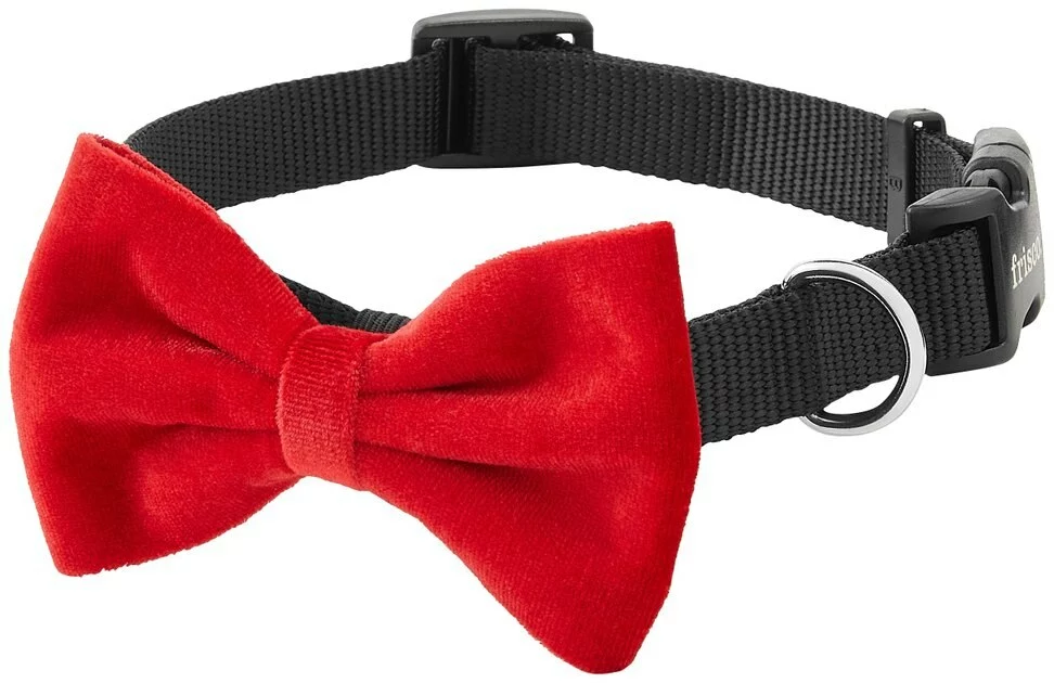 Frisco Removeable Velvet Collar Bow 6 Frisco Removeable Velvet Collar Bow - Image 4