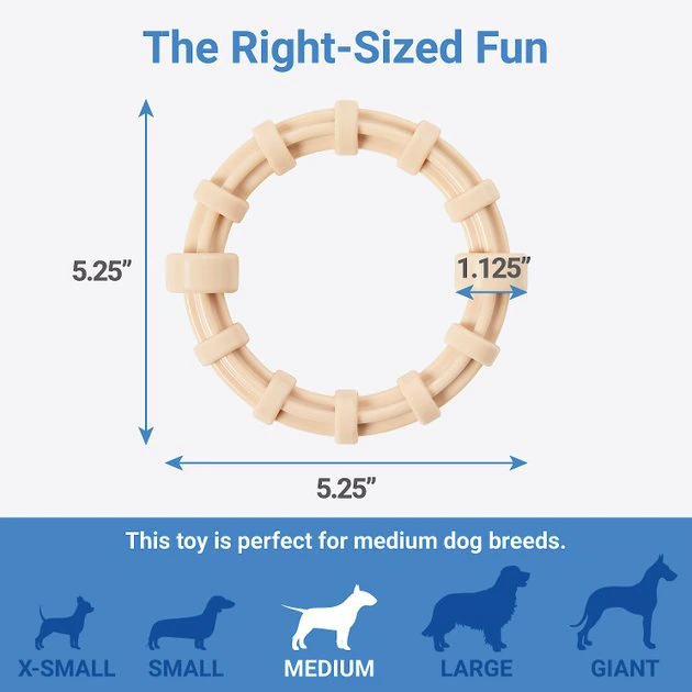 Frisco Nylon Ring Dog Chew Toy, Chicken Flavor, Medium 4 Frisco Nylon Ring Dog Chew Toy, Chicken Flavor, Medium - Image 2