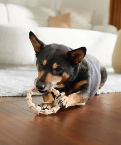 Frisco Nylon Ring Dog Chew Toy, Chicken Flavor, Medium 9 Frisco Nylon Ring Dog Chew Toy, Chicken Flavor, Medium -Dog Cat Corner 290533 PT3. SY630 V1635369395