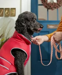 Frisco Fantastic Foxes Dog Leash -Dog Cat Corner 291242 PT3. SY630 V1629487758