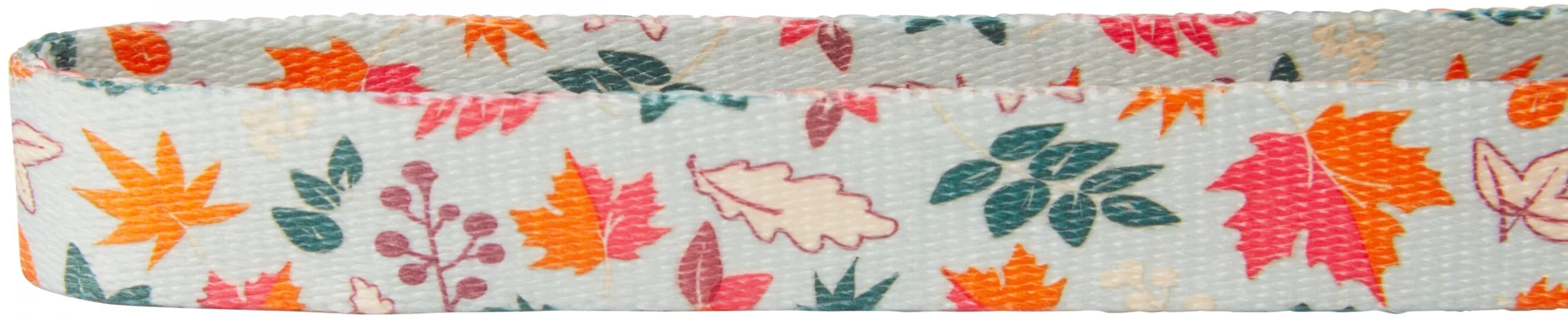 Frisco Mountain Leaves Dog Collar 5 Frisco Mountain Leaves Dog Collar - Image 3