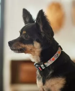 Frisco Mountain Leaves Dog Collar 10 Frisco Mountain Leaves Dog Collar -Dog Cat Corner 291244 PT3. SY630 V1629488588