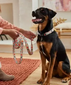 Frisco Mountain Leaves Dog Leash -Dog Cat Corner 291251 PT3. SY630 V1629488355