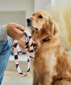 Frisco Purple Colorblock Dog Collar 9 Frisco Purple Colorblock Dog Collar -Dog Cat Corner 291282 PT3. SY630 V1629488015