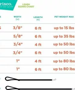 Frisco Purple Colorblock Dog Collar 11 Frisco Purple Colorblock Dog Collar -Dog Cat Corner 291282 PT5. SY630 V1628828328