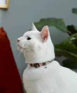 Frisco Thanksgiving Turkey Cat Collar, 8-12 Inches, 3/8-in wide 7 Frisco Thanksgiving Turkey Cat Collar, 8-12 Inches, 3/8-in wide -Dog Cat Corner 291323 PT3. SY630 V1629771382