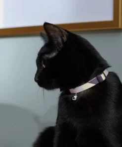 Frisco Purple Colorblock Cat Collar, 8-12 Inches, 3/8-in wide -Dog Cat Corner 291327 PT3. SY630 V1629771214