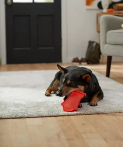 Frisco Nylon Headstone Halloween Dog Chew Toy, Peanut Butter Flavor, Medium -Dog Cat Corner 291383 PT3. SY630 V1623179554