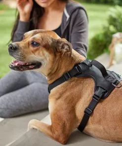 Frisco Monochromatic Dog Harness -Dog Cat Corner 291550 PT8. SY630 V1633121185