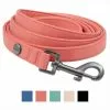 Frisco Monochromatic Dog Leash -Dog Cat Corner 291585 MAIN. SY630 V1638456132