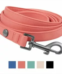 Frisco Monochromatic Dog Leash
