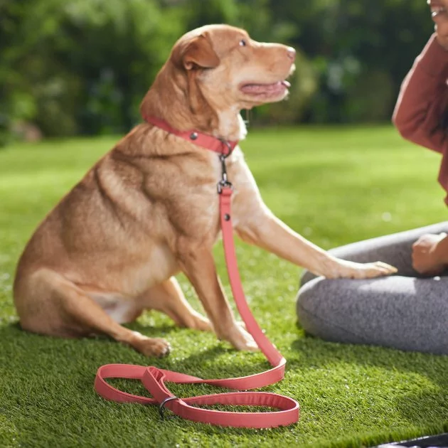 Frisco Monochromatic Dog Leash 6 Frisco Monochromatic Dog Leash - Image 4