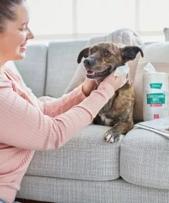Frisco Gentle Cleaning Waterless Grooming Wipes for Puppies & Kittens, Green Tea Scent -Dog Cat Corner 291592 PT4. SY630 V1627306695