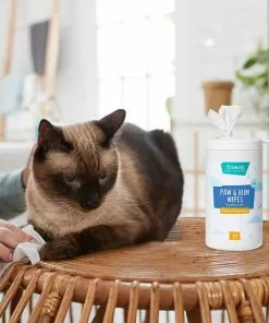 Frisco Deodorizing Paw & Bum Waterless Grooming Wipes for Dogs & Cats -Dog Cat Corner 291593 PT5. SY630 V1627653728