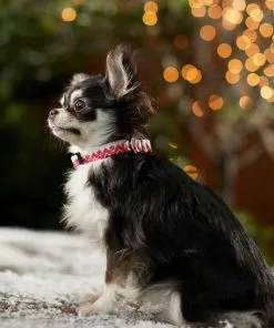 Frisco Ski Jacket Dog Collar 11 Frisco Ski Jacket Dog Collar -Dog Cat Corner 291695 PT8. SY630 V1632187718