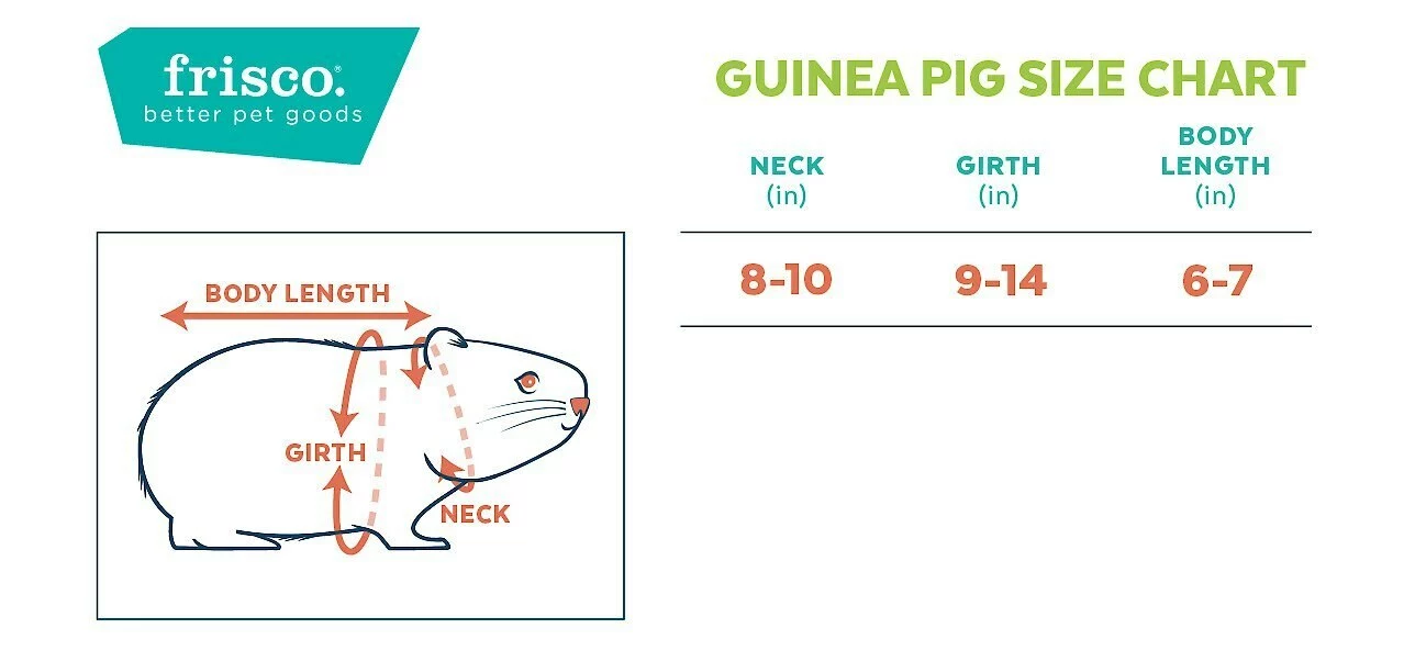 Frisco Guinea Pig Floral Dress 4 Frisco Guinea Pig Floral Dress - Image 2