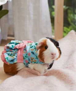 Frisco Guinea Pig Floral Dress 11 Frisco Guinea Pig Floral Dress -Dog Cat Corner 292200 PT4. SY630 V1641540431
