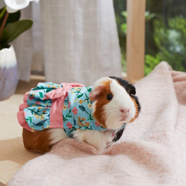 Frisco Guinea Pig Floral Dress 7 Frisco Guinea Pig Floral Dress - Image 5