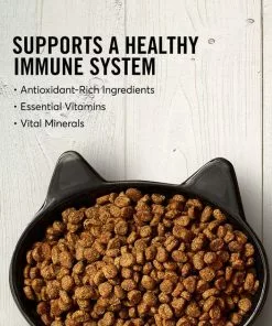 American Journey||Frisco American Journey Turkey & Chicken Recipe Grain-Free Dry Food + Frisco Cactus Cat Scratching Post, 22-in -Dog Cat Corner 292646 PT3. SY630 V1619980344