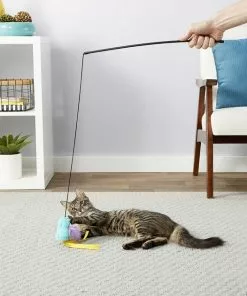 Fancy Feast||Frisco Fancy Feast Tender Feast Canned Food + Frisco Bird Teaser with Feathers Cat Toy, Blue -Dog Cat Corner 292976 PT5. SY630 V1620009422