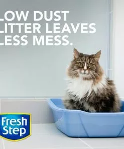 Frisco||Fresh Step Frisco Cat Tracks Butterfly Toy + Fresh Step Multi-Cat Scented Clumping Clay Cat Litter -Dog Cat Corner 293024 PT5. SY630 V1620004324